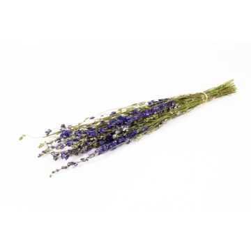 Ramo de flores secas de espuela de caballero AITHANA, azul verdoso, 70 cm, Ø 18 cm Ramo de flores secas de espuela de caballero AITHANA, azul verdoso, 70 cm, Ø 18 cm
