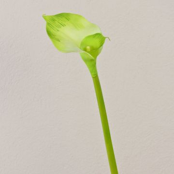 Calla de plástico MARIOLA, verde, 80cm, 8x15cm Calla de plástico MARIOLA, verde, 80cm, 8x15cm