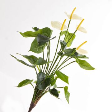 Flor textil Anthurium LORIE con palo, crema, 55cm, 6x8cm