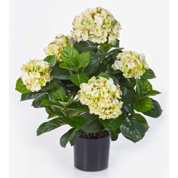 Hydrangea artificial HARUKA, verde, 55cm, Ø10-15cm