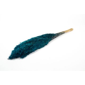 Ramo de junco seco DONJETA, azul petróleo, 70-80 cm, Ø 15 cm Ramo de junco seco DONJETA, azul petróleo, 70-80 cm, Ø 15 cm