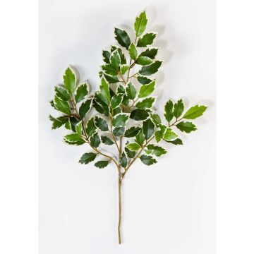 Rama falsa de ficus Benjamini AJITH, verde-blanco, 45cm