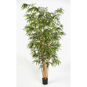 Planta decorativa de bambú FUDO, tallos naturales, 300 cm Planta decorativa de bambú FUDO, tallos naturales, 300 cm