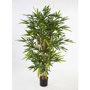 Bambú artificial TARIK, tallos naturales, 150 cm Bambú artificial TARIK, tallos naturales, 150 cm