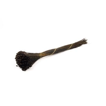 Flor de paja mediterránea seca AKALITI, ramo, negro, 40-55 cm, Ø 11 cm Flor de paja mediterránea seca AKALITI, ramo, negro, 40-55 cm, Ø 11 cm