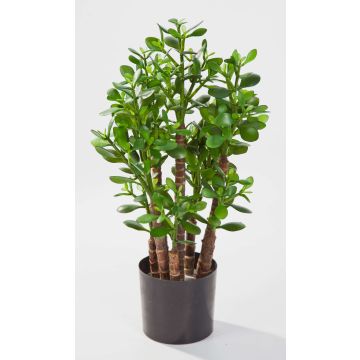 Árbol de jde artificial TIDO, tronco natural, verde, 60cm, Ø30cm Árbol de jde artificial TIDO, tronco natural, verde, 60cm, Ø30cm