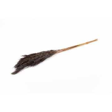 Ramo de junco seco DONJETA, marrón-plateado, 70-80 cm, Ø 15 cm Ramo de junco seco DONJETA, marrón-plateado, 70-80 cm, Ø 15 cm