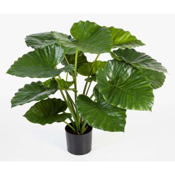 Colocasia de plástico SALONI, verde, 75cm