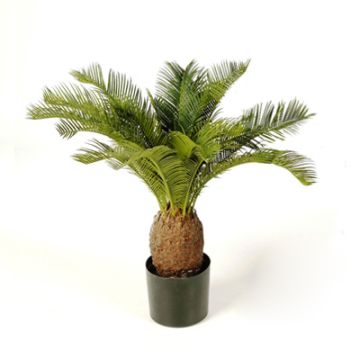 Palmera falsa cica MATTHEW, 65cm Palmera falsa cica MATTHEW, 65cm
