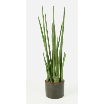 Sansevieria Cylindrica artificial MERVE, verde, 100cm Sansevieria Cylindrica artificial MERVE, verde, 100cm