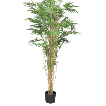 Árbol de bambú de plástico WANNING, troncos auténticos, 180 cm Árbol de bambú de plástico WANNING, troncos auténticos, 180 cm