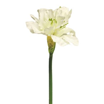 Flor decorativa amarilis HEJIA, color crema, 60 cm Flor decorativa amarilis HEJIA, color crema, 60 cm