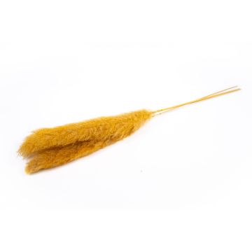 Hierba de la pampa seca ANIAMI, amarillo anaranjado, 130-140 cm, Ø 20 cm Hierba de la pampa seca ANIAMI, amarillo anaranjado, 130-140 cm, Ø 20 cm