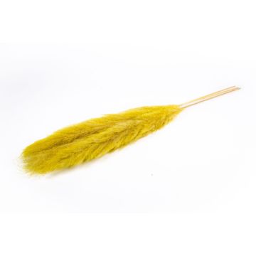 Hierba de la pampa seca ANIAMI, amarilla, 130-140 cm, Ø 20 cm Hierba de la pampa seca ANIAMI, amarilla, 130-140 cm, Ø 20 cm