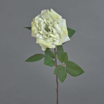 Rosa decorativa de terciopelo YUFAN, color crema, 65 cm, Ø 15 cm Rosa decorativa de terciopelo YUFAN, color crema, 65 cm, Ø 15 cm