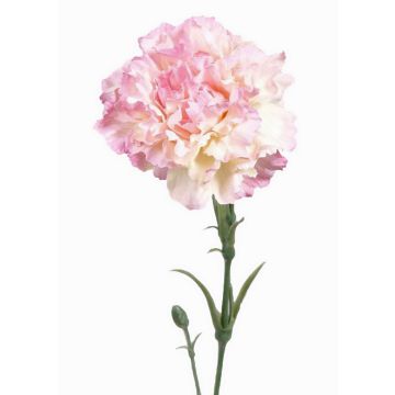 Clavel de plástico VANERA, rosa-blanco, 60cm, Ø8cm Clavel de plástico VANERA, rosa-blanco, 60cm, Ø8cm
