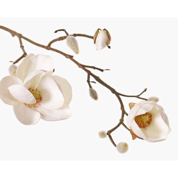 Rama decorativa de magnolia KOSTAS, blanca, 55 cm, Ø 6-8 cm