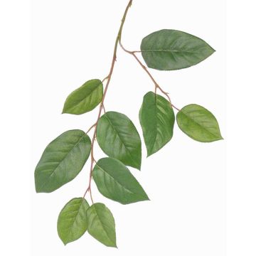 Rama de manzano de plástico KONSTANTIN, verde, 75cm Rama de manzano de plástico KONSTANTIN, verde, 75cm