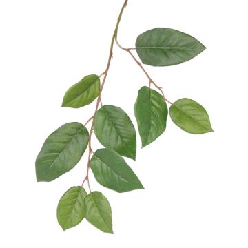 Rama de manzano artificial KONSTANTIN, verde, 75 cm Rama de manzano artificial KONSTANTIN, verde, 75 cm