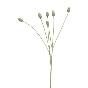 Rama decorativa de cardo SUANYI, verde, 65 cm Rama decorativa de cardo SUANYI, verde, 65 cm