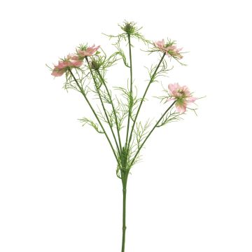 Rama decorativa de comino negro TIANKE, rosa-crema, 65 cm, Ø 7-8 cm Rama decorativa de comino negro TIANKE, rosa-crema, 65 cm, Ø 7-8 cm