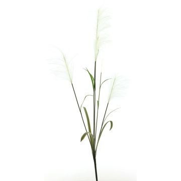 Rama decorativa de hierba de la pampa LINEN con espigas, blanco, 145 cm