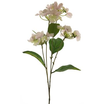 Flor artificial de hortensia PINNIAN, rosa pálido-crema, 70 cm, Ø 9-10 cm Flor artificial de hortensia PINNIAN, rosa pálido-crema, 70 cm, Ø 9-10 cm