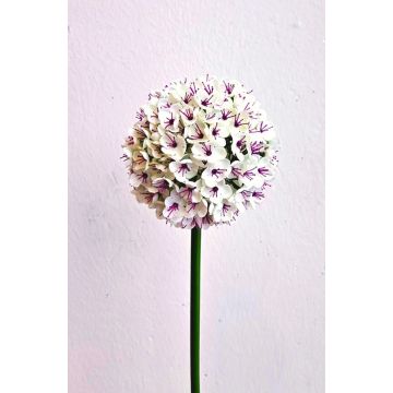 Flor artificial Allium LOKJAN, blanco-violeta, 70 cm