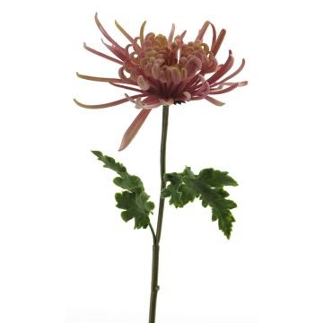 Flor artificial de crisantemo YASULI, rosa-lavanda, 70 cm, Ø 18 cm Flor artificial de crisantemo YASULI, rosa-lavanda, 70 cm, Ø 18 cm