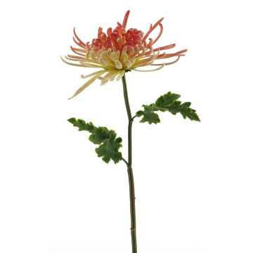 Flor artificial de crisantemo YASULI, rosa-amarillo, 70 cm, Ø 18 cm Flor artificial de crisantemo YASULI, rosa-amarillo, 70 cm, Ø 18 cm