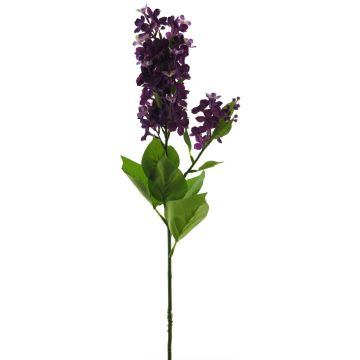 Flor decorativa de lila NAJUAN, lila oscuro, 80cm, Ø6-8cm Flor decorativa de lila NAJUAN, lila oscuro, 80cm, Ø6-8cm