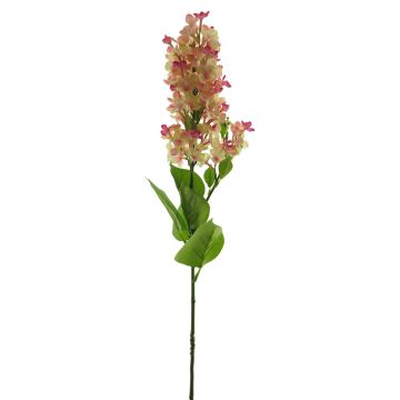 Flor decorativa de lila NAJUAN, fucsia-crema, 80cm, Ø6-8cm Flor decorativa de lila NAJUAN, fucsia-crema, 80cm, Ø6-8cm