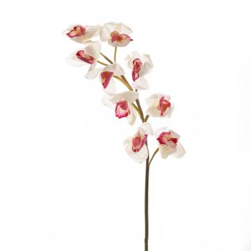 Rama falsa de orquídea Cymbidium OKSANA, blanco-rosa, 80cm Rama falsa de orquídea Cymbidium OKSANA, blanco-rosa, 80cm