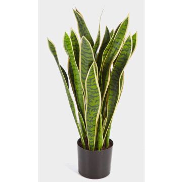 Sansevieria de plástico BEYZA, verde-amarillo, 80cm Sansevieria de plástico BEYZA, verde-amarillo, 80cm