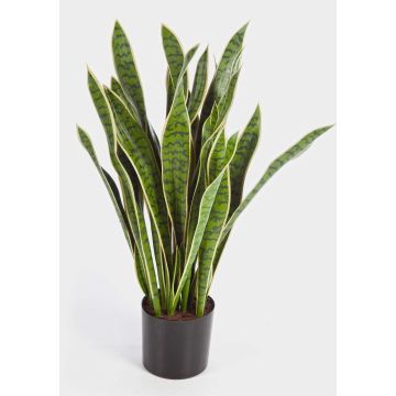 Sansevieria de plástico BEYZA de 95 cm, verde-amarillo Sansevieria de plástico BEYZA de 95 cm, verde-amarillo