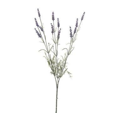 Rama artificial de lavanda JELLE, morada, 70 cm Rama artificial de lavanda JELLE, morada, 70 cm