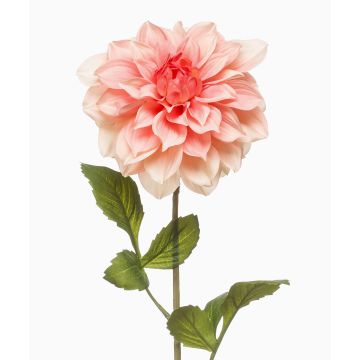 Flor artificial de dalia REFOLG, color melocotón, 70cm Flor artificial de dalia REFOLG, color melocotón, 70cm