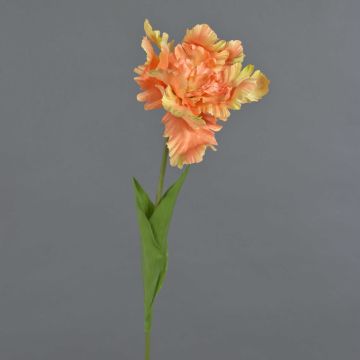 Flor decorativa tulipán loro ALISCHA, melocotón-amarillo, 70 cm, Ø 19 cm Flor decorativa tulipán loro ALISCHA, melocotón-amarillo, 70 cm, Ø 19 cm