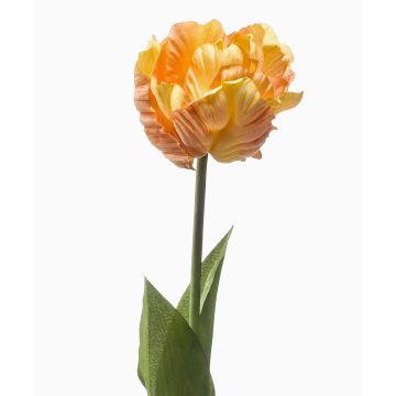 Flor de loro artificial LIOMARA, amarillo-melocotón, 65 cm, Ø 9 cm Flor de loro artificial LIOMARA, amarillo-melocotón, 65 cm, Ø 9 cm