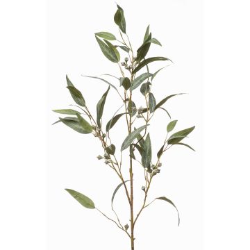 Rama decorativa de eucalipto JURKA con frutos, verde-gris, 115 cm Rama decorativa de eucalipto JURKA con frutos, verde-gris, 115 cm