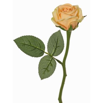 Flor artificial rosa GABI, melocotón-crema, 30cm, Ø6cm Flor artificial rosa GABI, melocotón-crema, 30cm, Ø6cm