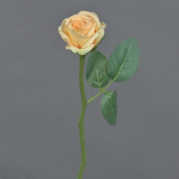 Flor artificial rosa GABI, melocotón-crema, 30 cm, Ø 6 cm Flor artificial rosa GABI, melocotón-crema, 30 cm, Ø 6 cm