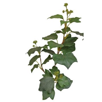 Rama de hiedra artificial TOYAH con frutos, verde, 65 cm Rama de hiedra artificial TOYAH con frutos, verde, 65 cm