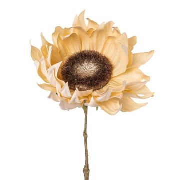 Flor artificial de girasol CRUFT, aspecto seco, color crema, 60cm Flor artificial de girasol CRUFT, aspecto seco, color crema, 60cm