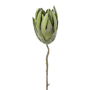 Alfiletero de protea artificial LINDAR, verde, 70cm Alfiletero de protea artificial LINDAR, verde, 70cm