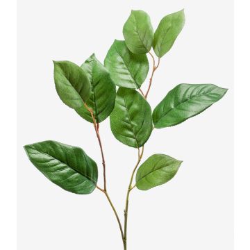 Rama de manzano artificial KONSTANTIN, verde, 75cm Rama de manzano artificial KONSTANTIN, verde, 75cm