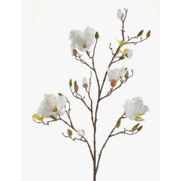 Magnolia de plástico LILO, crema, 110cm, Ø5-9cm