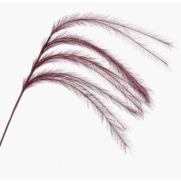 Rama decorativa de hierba pluma con espigas LUMINIA, rojo burdeos, 135 cm