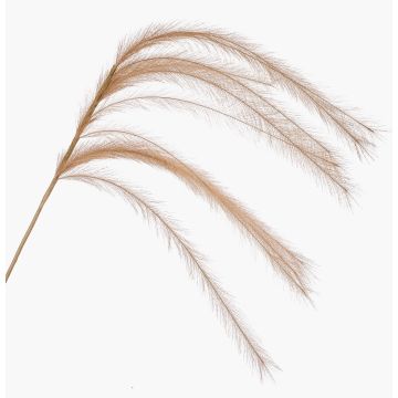 Rama decorativa de hierba pluma con espigas LUMINIA, beige, 135 cm Rama decorativa de hierba pluma con espigas LUMINIA, beige, 135 cm