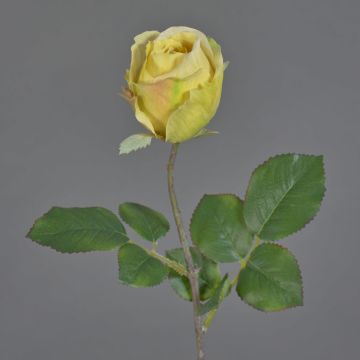 Flor artificial decorativa POPI, amarillo-verde-rosa, 55 cm, Ø 7 cm Flor artificial decorativa POPI, amarillo-verde-rosa, 55 cm, Ø 7 cm